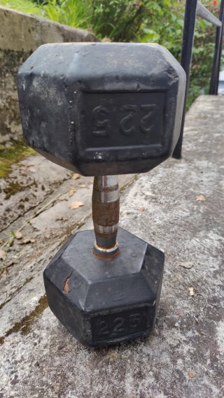 Mancuerna 22,5kg