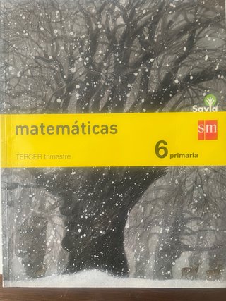 Libro mates primer y tercer trimeste 6 primaria