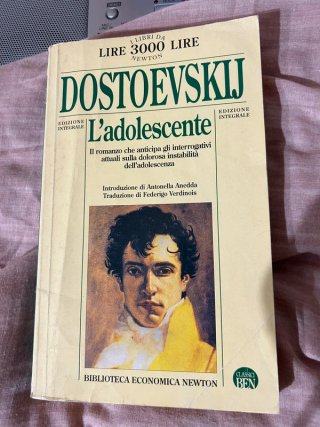 Lotto libri classici russi + Joyce e Parini