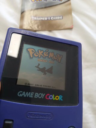Juego Nintendo Pokemon ORO y manual