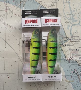 LOTE 2 RAPALA XTREME PENCIL 107                160