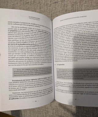 Delincuencia juvenil.  Uned. 3°Criminología