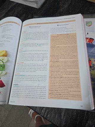 Lengua castellana y literatura 1, Le Bachillerato