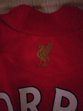 Camiseta Fernando Torres Nº 9