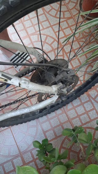 Bicicleta BH
