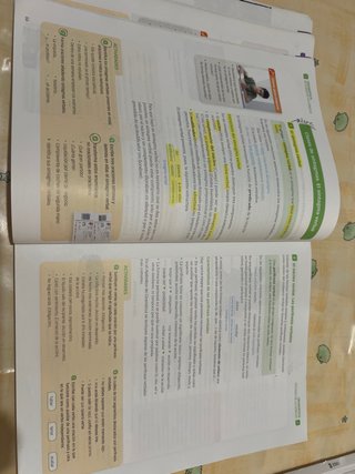 Lengua castellana y literatura serie comenta