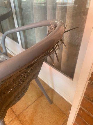 Mesa de terraza de cristal, 60 cm de diámetro,