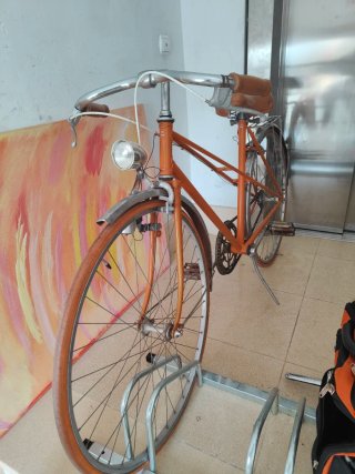 Bici da donna vintage