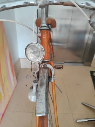 Bici da donna vintage