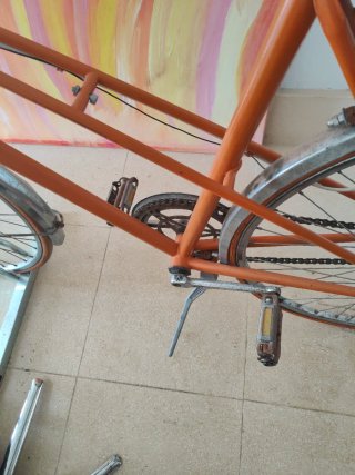 Bici da donna vintage