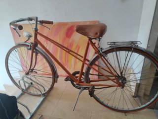 Bici da donna vintage