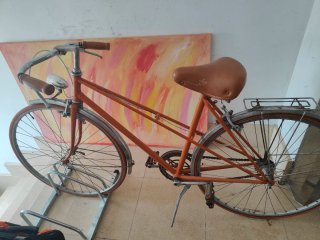 Bici da donna vintage