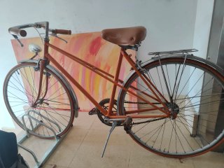 Bici da donna vintage