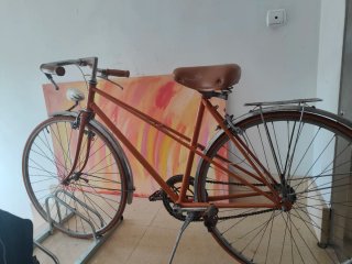 Bici da donna vintage