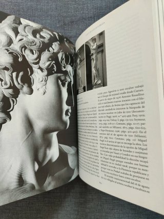 Miguel Ángel. Pintura, Escultura y Arquitectura