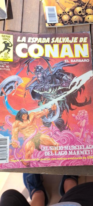 Espada  salvaje de conan(lote) serie oro planeta