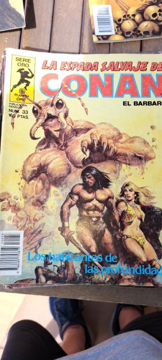 Espada  salvaje de conan(lote) serie oro planeta