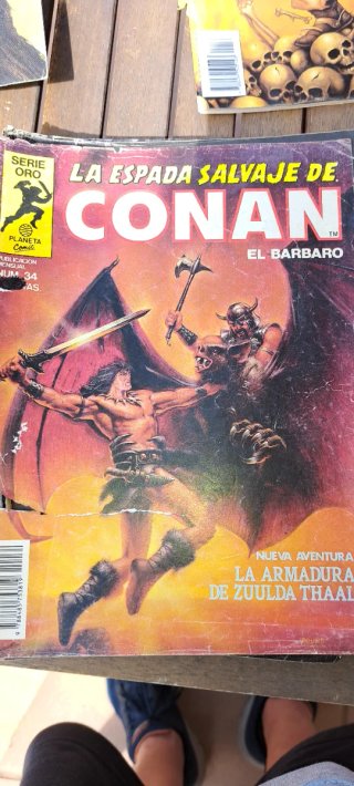 Espada  salvaje de conan(lote) serie oro planeta