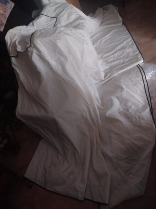 Techo de carpa 3x4