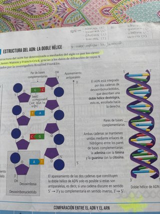 Biología y Geología 4, Secundaria, Fanfest Edel...