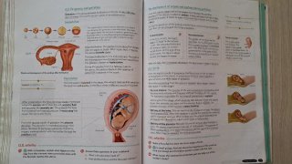 Biology & Geology 3º ESO. Student's book. GENiOX