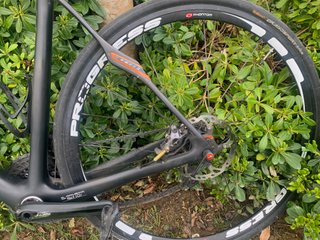 Specialized Roubaix Carbono Talla 56