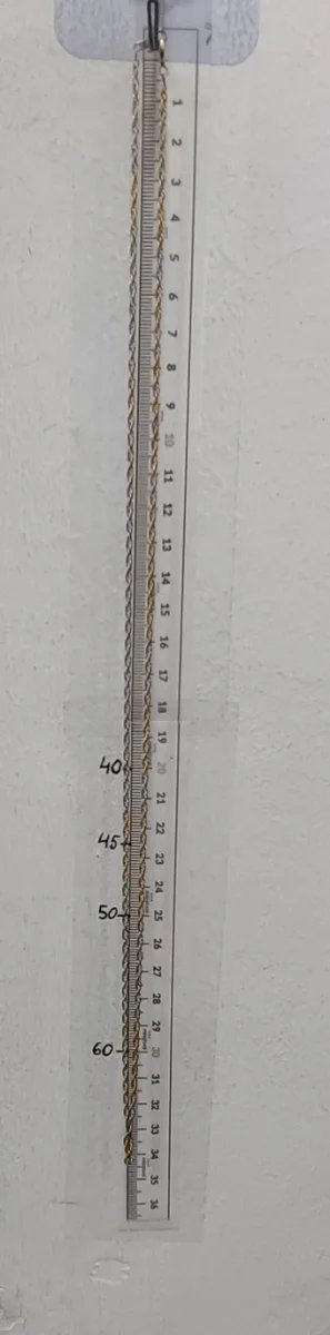00649 Cadena Singapur Oro 18k. 68cm.