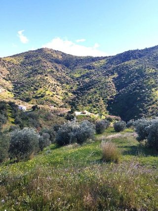 Terreno en venta en La Cala del Moral en Rincón de la Victoria