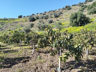Terreno en venta en La Cala del Moral en Rincón de la Victoria