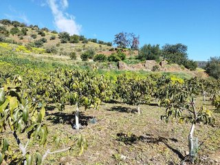 Terreno en venta en La Cala del Moral en Rincón de la Victoria