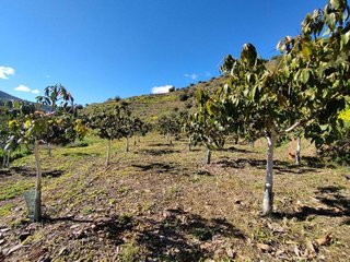 Terreno en venta en La Cala del Moral en Rincón de la Victoria