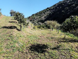 Terreno en venta en La Cala del Moral en Rincón de la Victoria