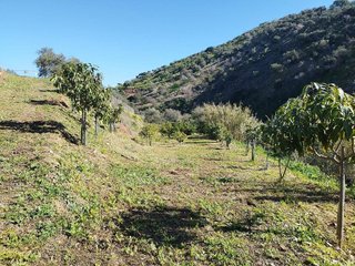 Terreno en venta en La Cala del Moral en Rincón de la Victoria