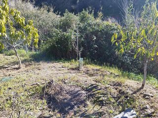Terreno en venta en La Cala del Moral en Rincón de la Victoria
