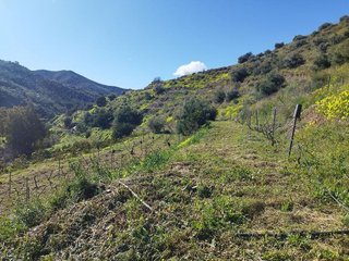 Terreno en venta en La Cala del Moral en Rincón de la Victoria