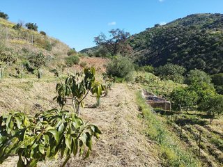 Terreno en venta en La Cala del Moral en Rincón de la Victoria