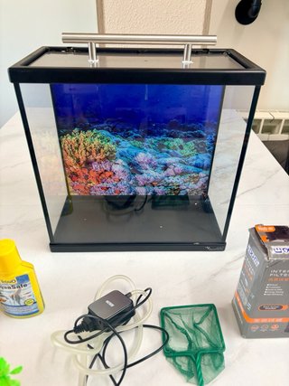 Acuario 10L con accesorios