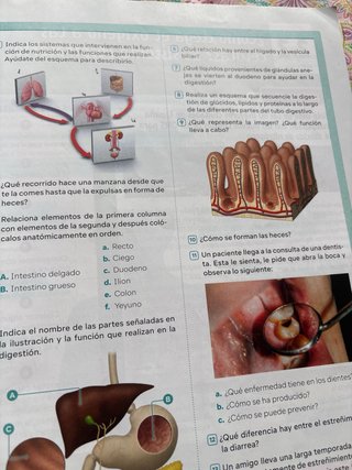 Biología y Geología. 3 Secundaria. Revuela. Pri...