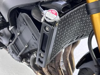 Yamaha FZ8 N