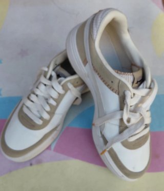 Bambas puma