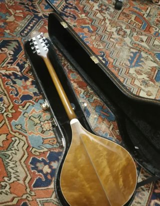 Bouzouki electrificado