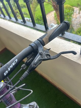 Bicicleta Montaña Ruedas 26 Morada
