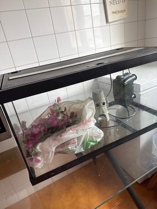 Acuario con plantas y filtro