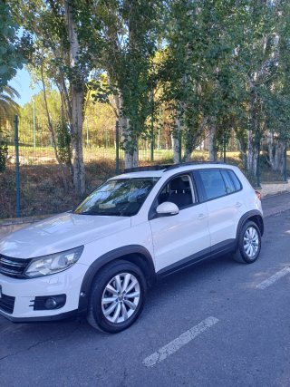 Volkswagen Tiguan 2013