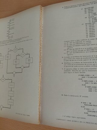 Libro COBOL Estructurado 1983 - Grauer & Crawford