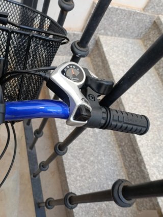 Bicicleta BTC 6 velocidades con cesta llantas de