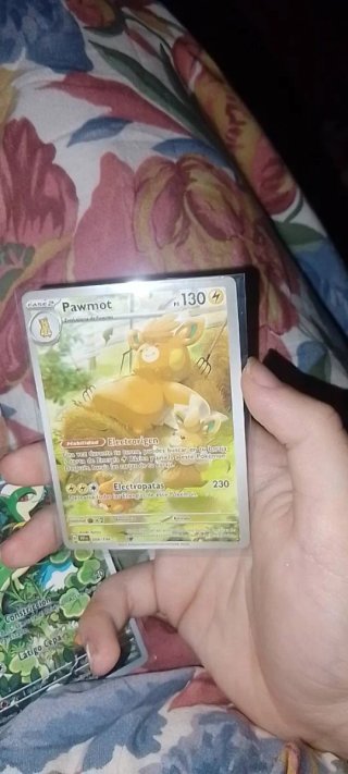 Lote cartas pokemon