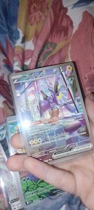 Lote cartas pokemon