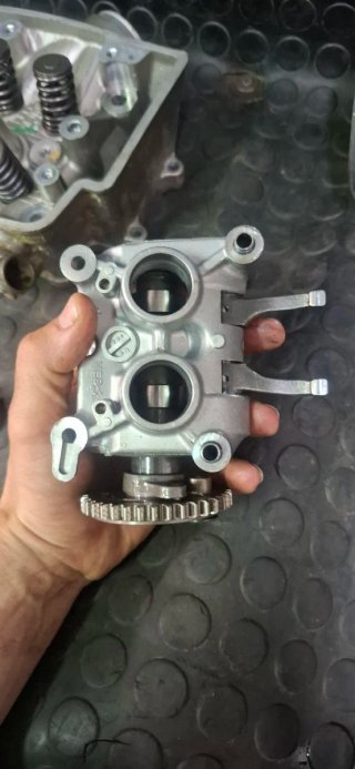 Culata, Cilindro, Pistón Honda CRF 450 08