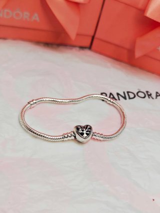Pulsera Pandora Ale 17 centímetros family envio